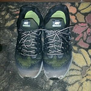 Nike Zoom Pegasus 33